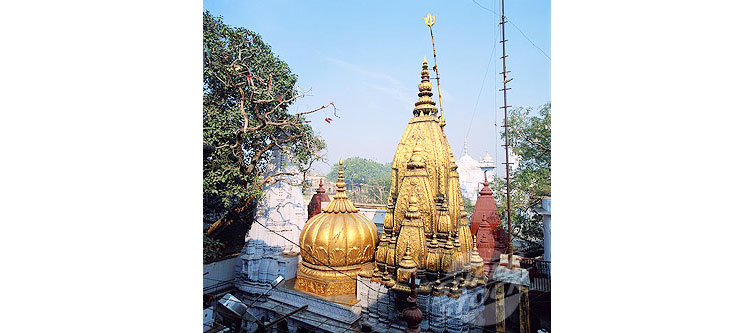 Kashi-Vishwanath-Temple